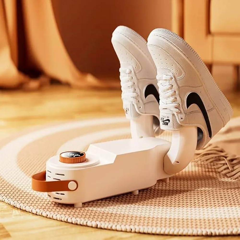 Electric shoe dryer with a timer and temperature control