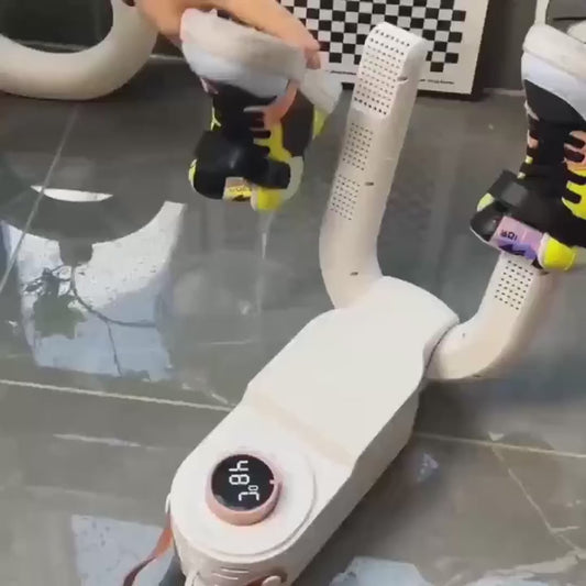 Electric shoe dryer with a timer and temperature control
